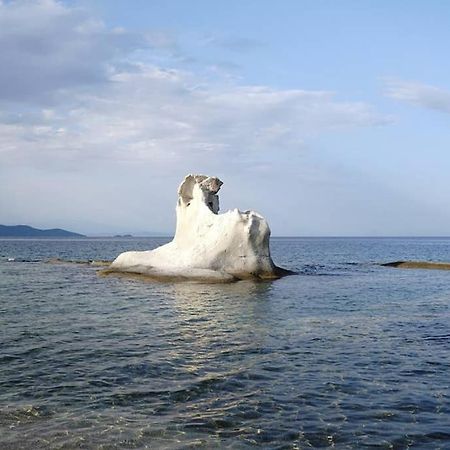 Agrampeli Villa Ierissos Exteriör bild