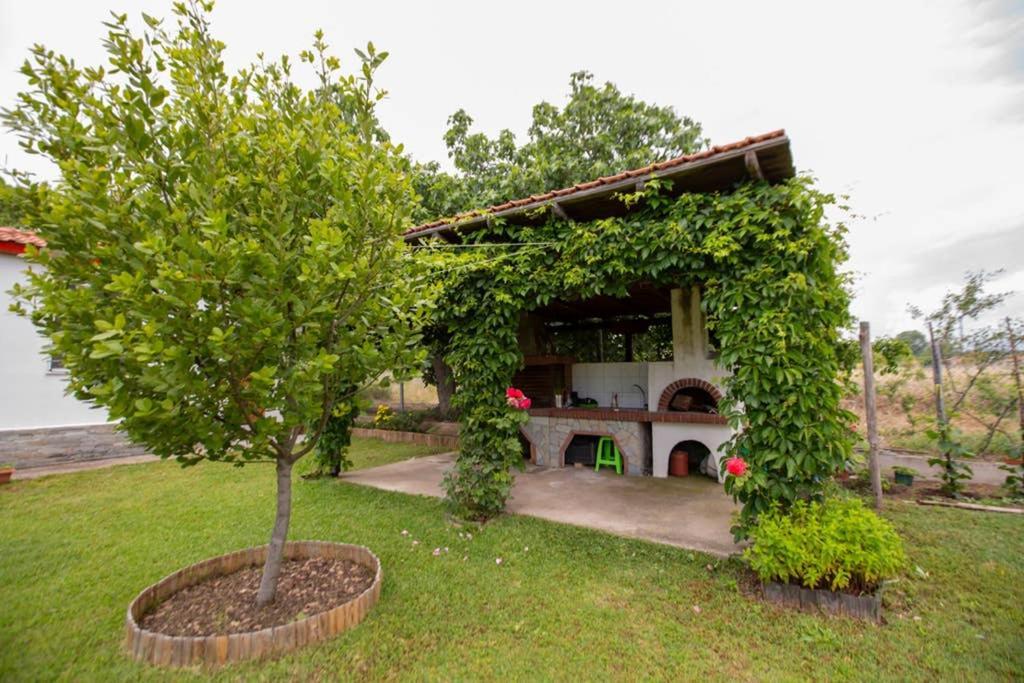 Agrampeli Villa Ierissos Exteriör bild